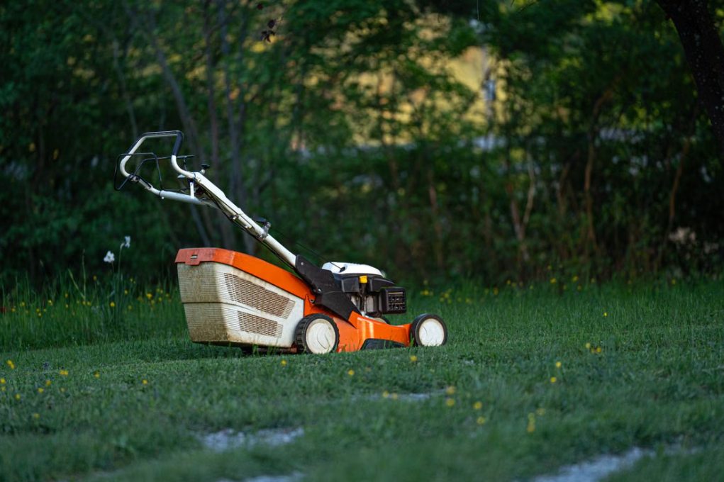 1 Regular Lawn Mowing and Maintenance for Wooded Gardens - Image 1
