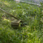 Reclamation and Mowing Service for Overgrown, Wild Lawns