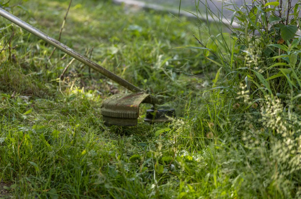 8 Reclamation and Mowing Service for Overgrown, Wild Lawns - Image 1