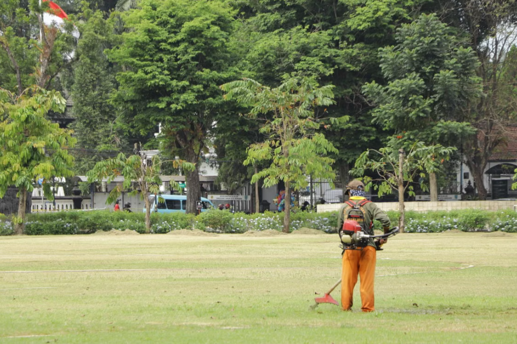 9 Professional Mowing and Maintenance for Large Open Lawns - Image 1